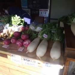 コマキ農園の野菜