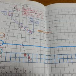 上がるのも過激だけど下がるのも過激