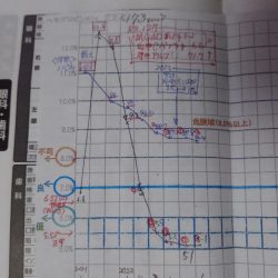 安定期に入った