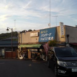 草刈り2回目を開始。1/3くらい終わったか？あと、なつかしい足利のホクシンケン食堂へ行ってきた。