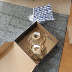 ERAターボの車検のためにMiniSprearsからパーツを購入した