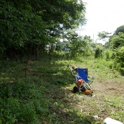 2回リコイルスターターが壊れたの作業断念