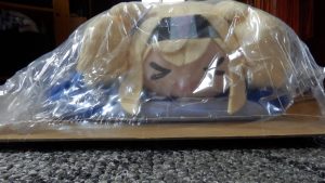 Lowsonのガンビーの肩乗りブランケットが届いた