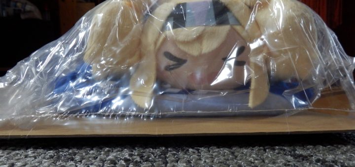 Lowsonのガンビーの肩乗りブランケットが届いた