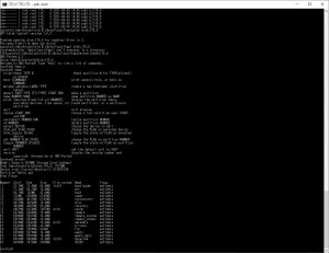 /dev/block/vold/diskをpartedで見たけど、やっぱりSDカードの情報しかない。内臓eMMCのとっかかりがない。
