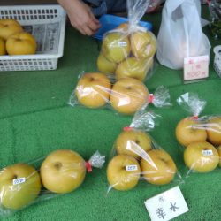 多摩川梨の幸水を買った