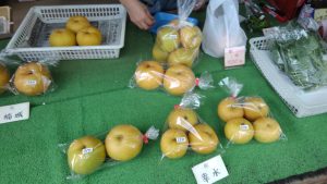 多摩川梨の幸水を買った