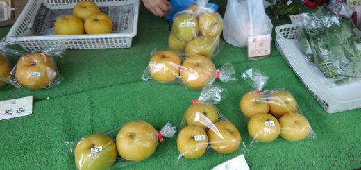 多摩川梨の幸水を買った
