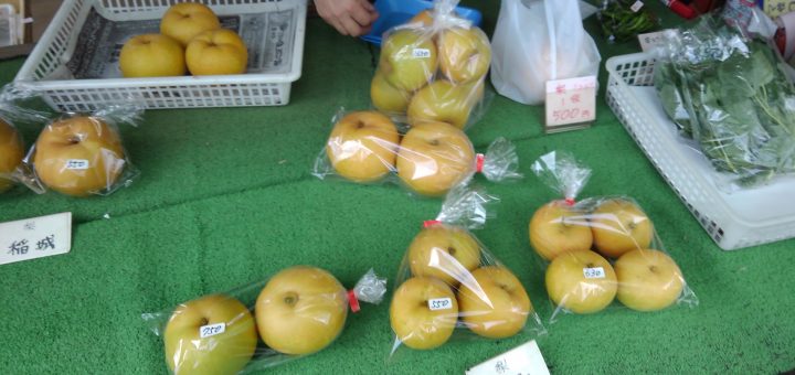 多摩川梨の幸水を買った