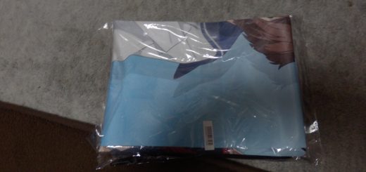 艦これいつかあの海の全館購入特典が来た。