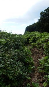 境界は、切ったけど復活しつつ在り