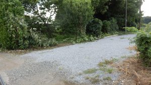 他の栗畑で折れた枝