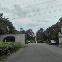 多磨霊園
