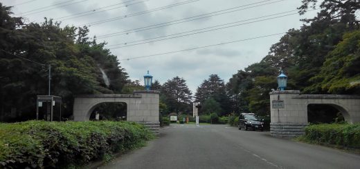 多磨霊園
