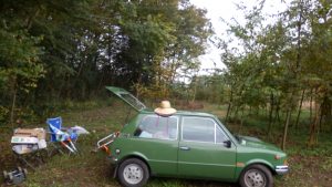 寒くなってきたので、っ雑草もだいぶ落ち着いてきた