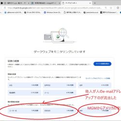 ダークウェーブ上に自分の情報が出ているサーマーリー