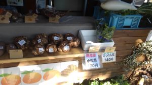 正月野菜