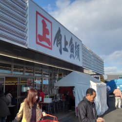 ニキシー管を個人輸入