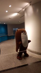ボクカワウソも来た。