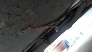 排気温センサーのコネクターに枝が挟まっていた。