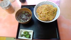 品川駅のB級グルメの品川丼