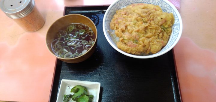 品川駅のB級グルメの品川丼