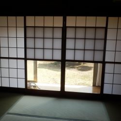 藤岡の実家の畳と障子の交換が完了した。 雪見障子の取り換えも完了。黄ばみが取れた