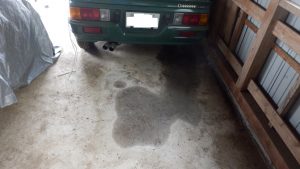 CostcoのOXI Cleanとパーツクリーナーで綺麗になった
