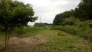奥側の草刈りも完了した。