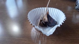 これが試食の黒にんにく