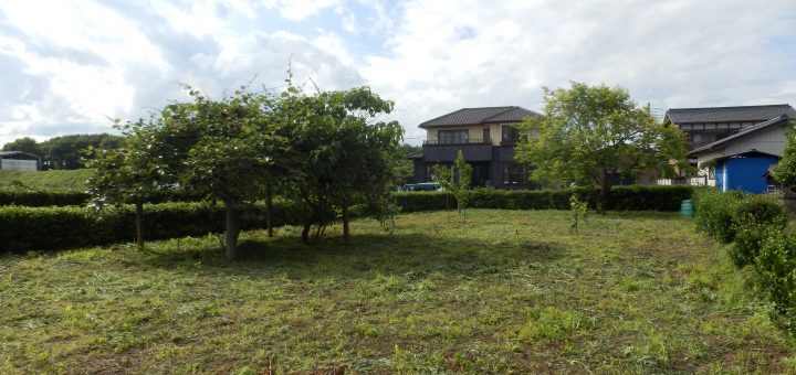 実家の隣の畑の全景
