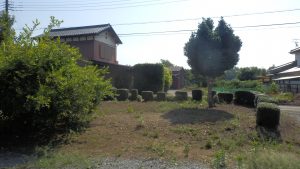 一か月前にざっと刈った実家の方が雑草がひどくなった