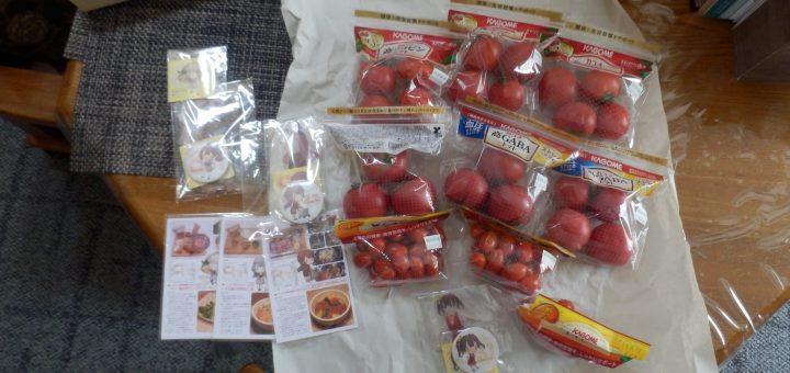 C2機関とDMM農業がタッグを組んでKAGOMEのとまとを出した。