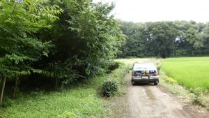 車の入り口も雑草がすごかったので刈ってから入れた。