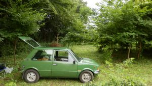 入り口をざっと刈ったので車を入れた