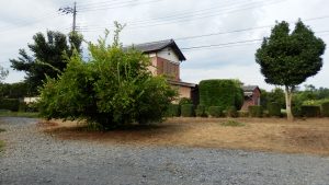 入り口部分は綺麗に草取り