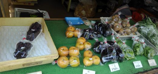 分倍河原の直売所で幸水が売り出している。