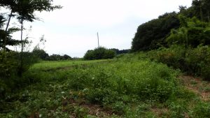 今回は、日陰がないのでかなりきつい状況