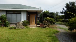 芝生に雑草が生えてしまっている