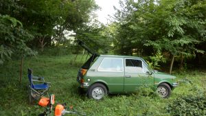 雑草が伸びてしまっている