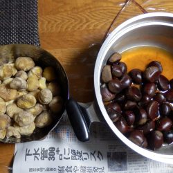 初の収穫は栗ご飯にした