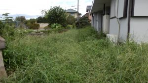 家の裏側が結構伸びている