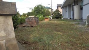 家の裏側の草刈りを実施した