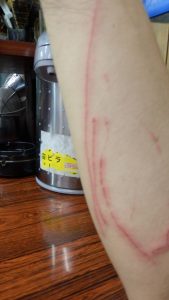 スピードケーブルを外そうと思ったら、切れてしまった。