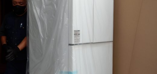 今回買ったのは、501L。横幅同じで最大容量を買った