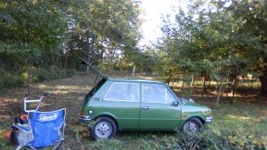 栗畑は栗が終わった