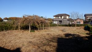 今回草刈りする実家の裏の畑。合わせて垣根の剪定も行う。