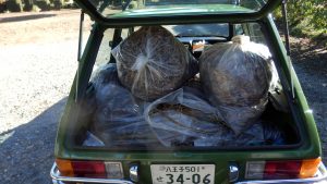 落ち葉をグリーンセンターに持って行った。