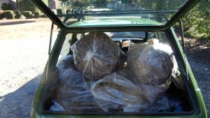 落ち葉をグリーンセンターに持って行った。