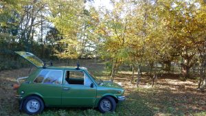 追加アーチを設置するために栗畑に来た